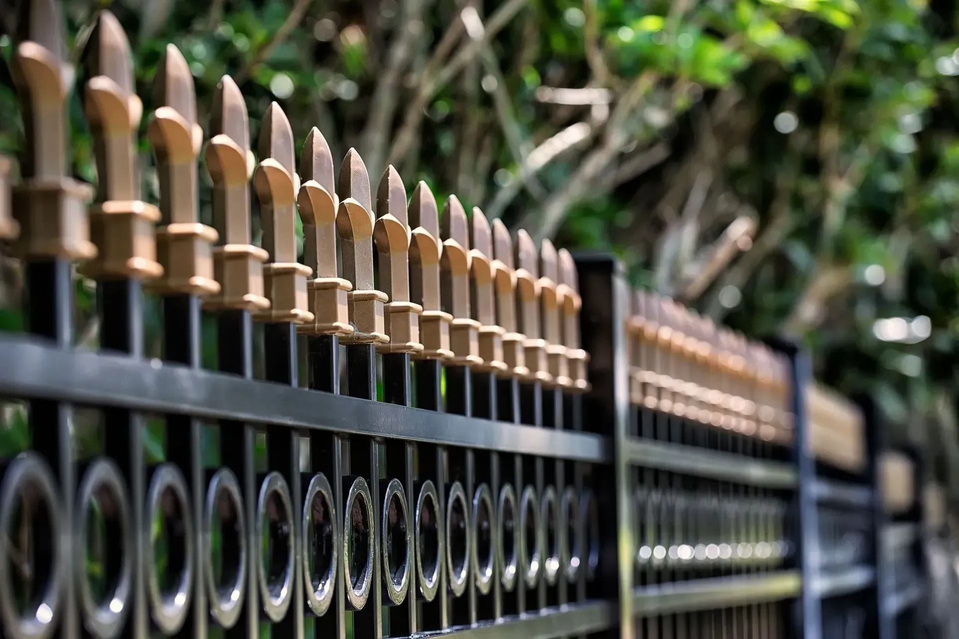 Black metal fence with gold spear-topped posts against a blurred green leafy backdrop.